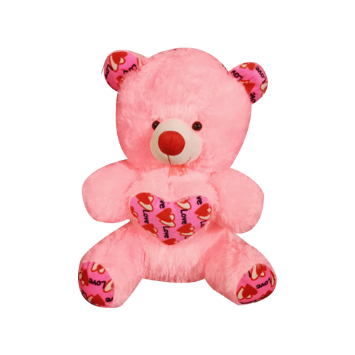 Loveable Teddy (19 Inch)