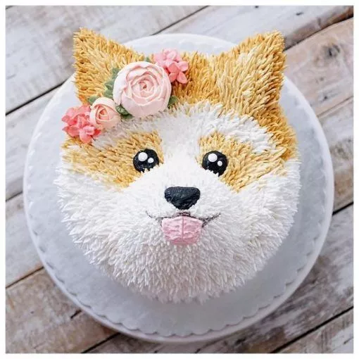 Corgi Face Cake For Dog Birthday Online | Doorstep Cake